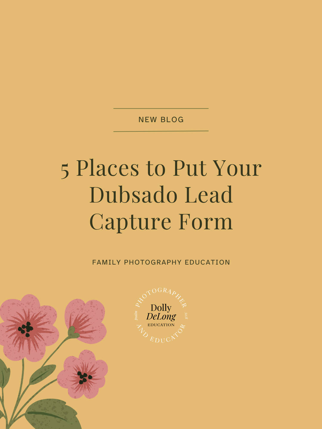 wordpress featured blog post image with text that reads 5 Places to Put Your Dubsado Lead Capture Form