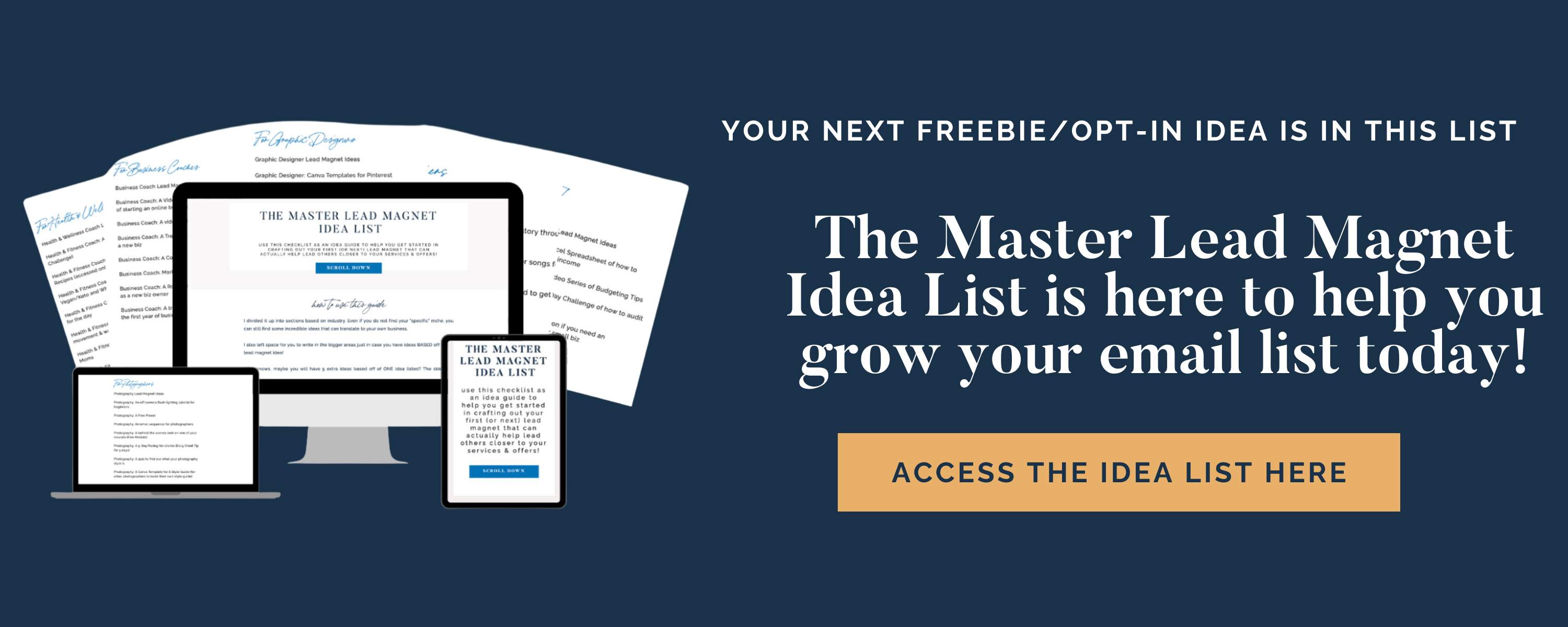 blog-banner-to-advertise-the-free-resource-the-lead-magnet-master-idea-list-to-help-you-grow-out-your-email-list