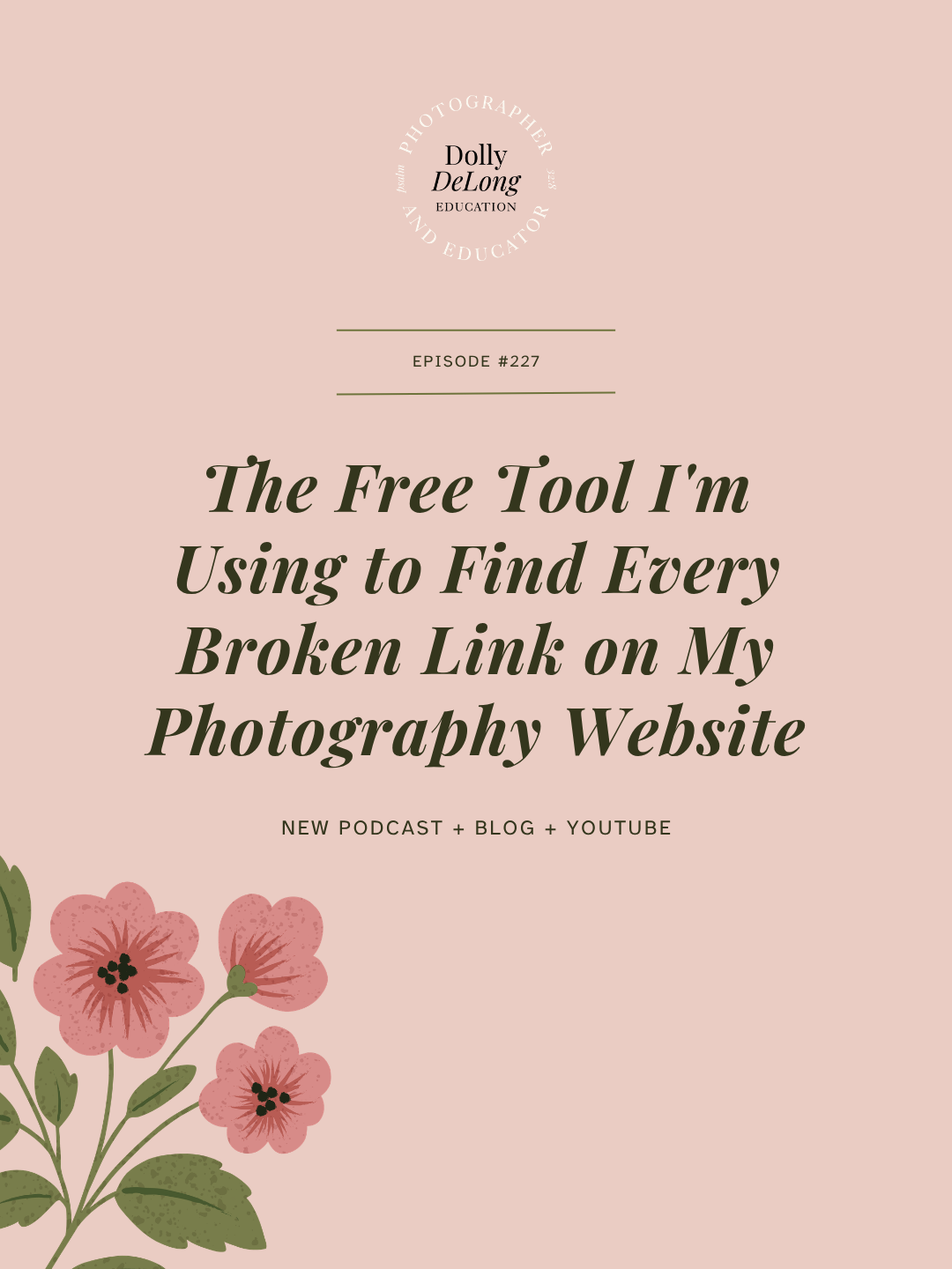 The Free Tool I'm Using to Find Every Broken Link on My Photography Website Wordpress Featured Image
